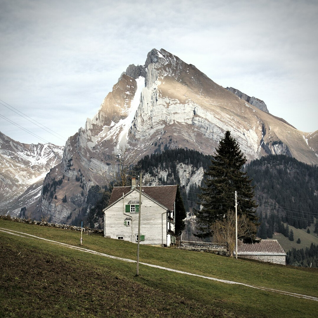 swiss green archive