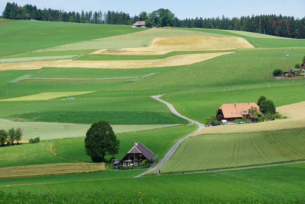 swiss green landscape