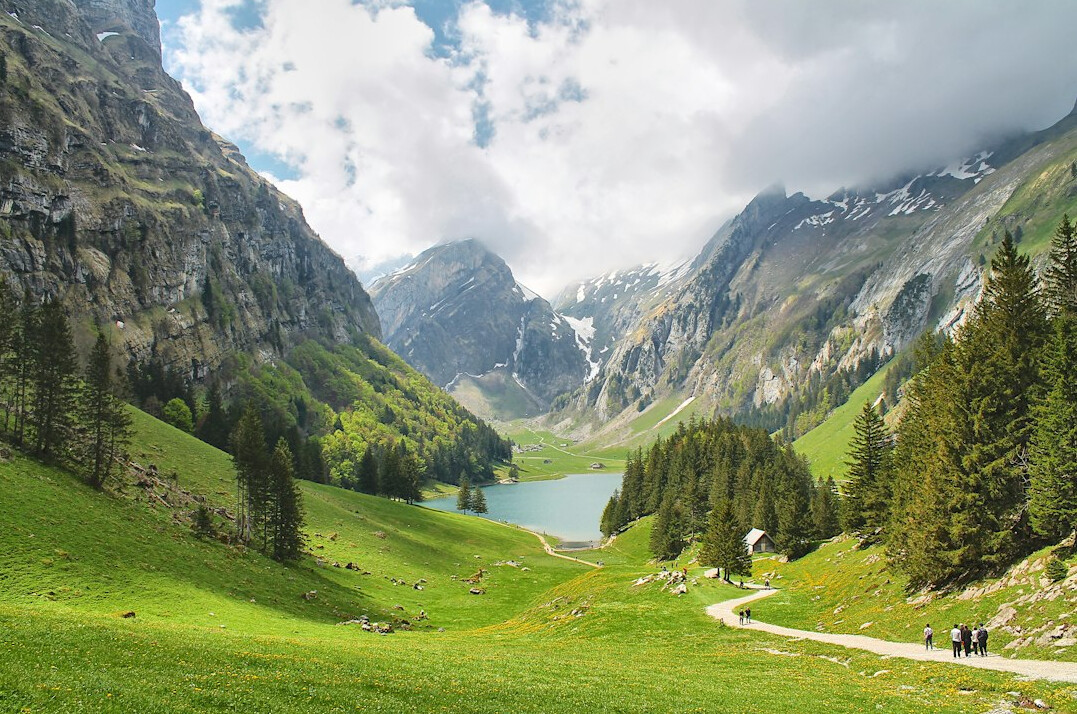 swiss green business