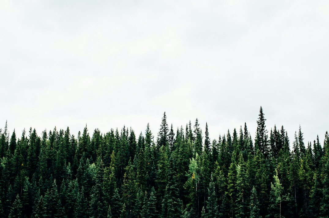 forest conservation